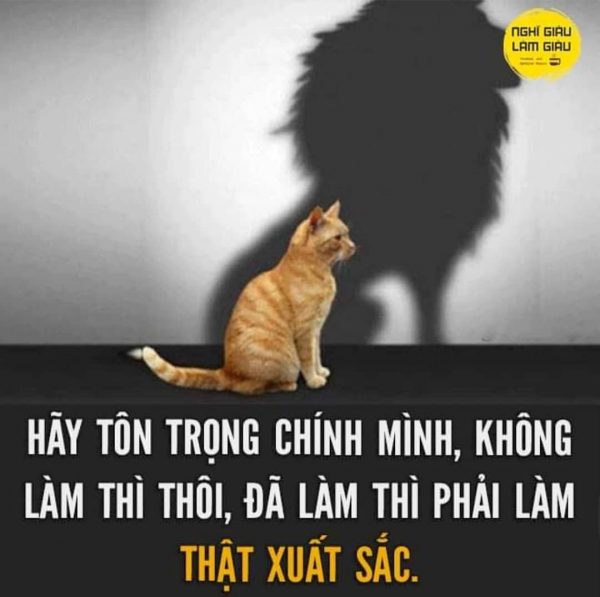 Đã làm thì phải làm xuất sắc